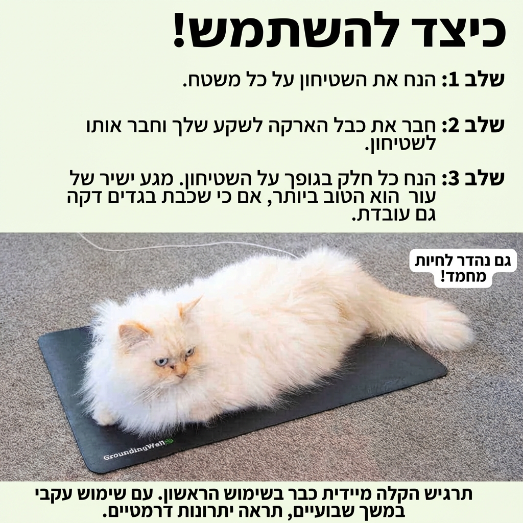 משטח קרקוע
