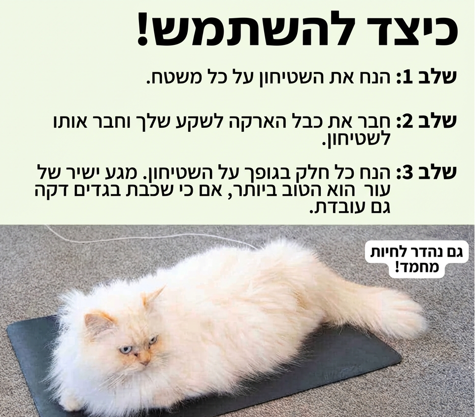 משטח קרקוע